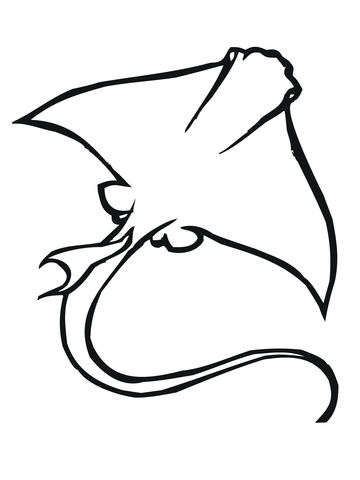 Skate Ray  Coloring Page